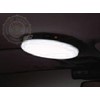 Dome Light Incandescent Bulb